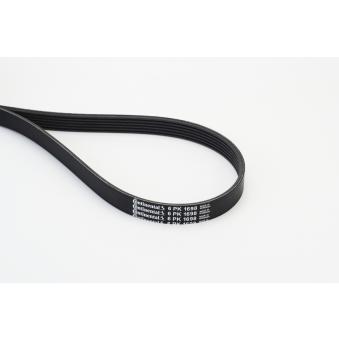 Courroie trapézoïdale à nervures CONTITECH