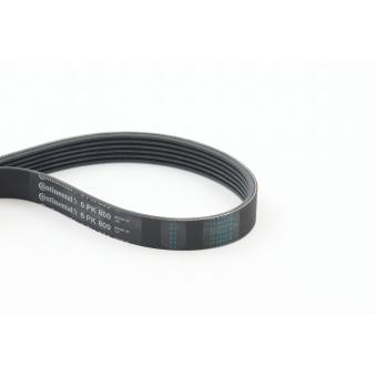 Courroie trapézoïdale à nervures CONTITECH 6PK800