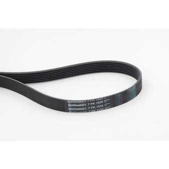 Courroie trapézoïdale à nervures CONTITECH