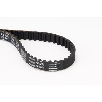 Courroie crantée CONTITECH