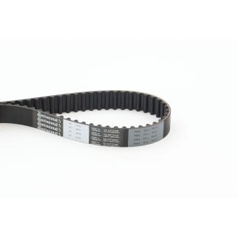 Courroie crantée CONTITECH