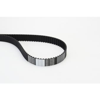 Courroie crantée CONTITECH