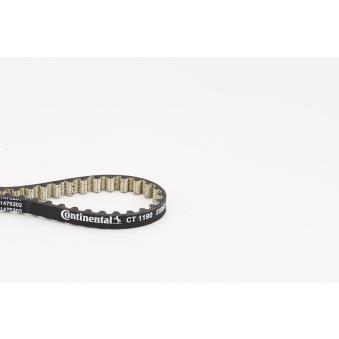 Courroie de distribution CONTITECH