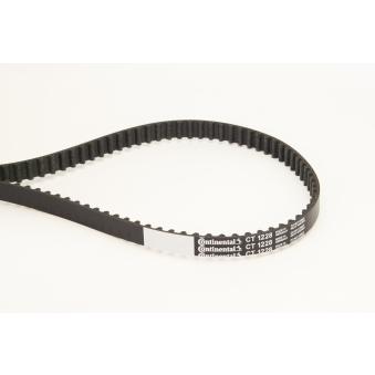 Courroie de distribution CONTITECH