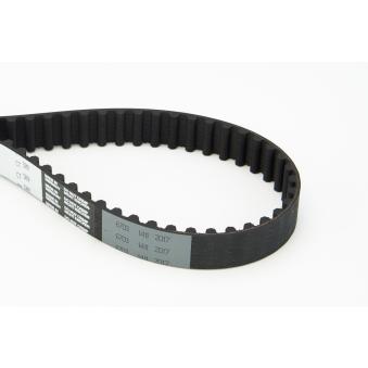 Courroie crantée CONTITECH