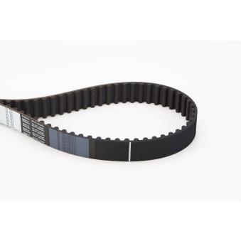 Courroie crantée CONTITECH