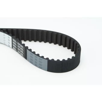 Courroie crantée CONTITECH