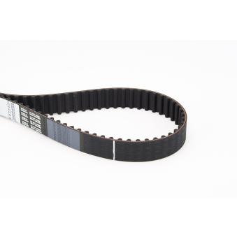 Courroie crantée CONTITECH