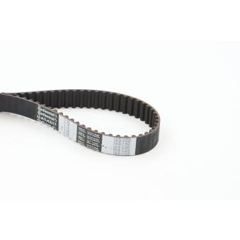 Courroie crantée CONTITECH