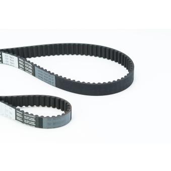 Courroie crantée CONTITECH