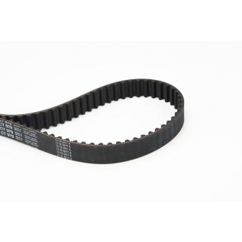 Courroie crantée CONTITECH