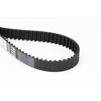 Courroie crantée CONTITECH