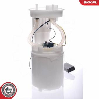 Unité d'injection de carburant ESEN SKV