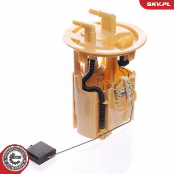 Unité d'injection de carburant ESEN SKV