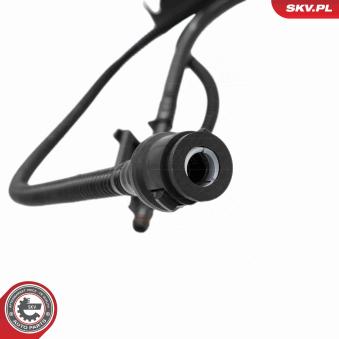 Unité d'injection de carburant ESEN SKV