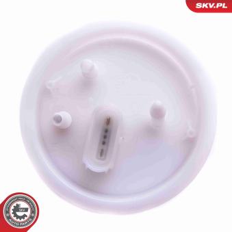 Unité d'injection de carburant ESEN SKV