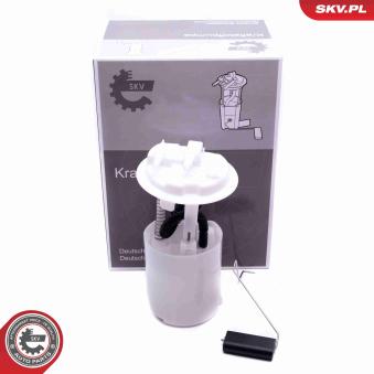 Unité d'injection de carburant ESEN SKV