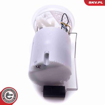 Unité d'injection de carburant ESEN SKV