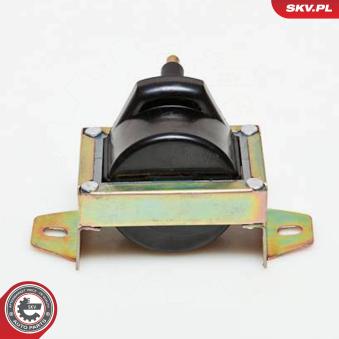 Bobine d'allumage ESEN SKV 03SKV119