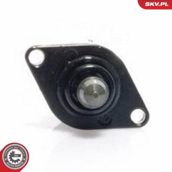 Controle de ralenti, alimentation en air ESEN SKV