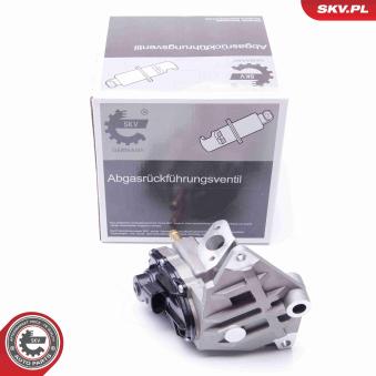 Vanne EGR ESEN SKV 14SKV087