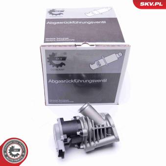 Vanne EGR ESEN SKV 14SKV173