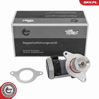 Vanne EGR ESEN SKV