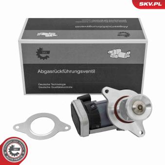 Vanne EGR ESEN SKV