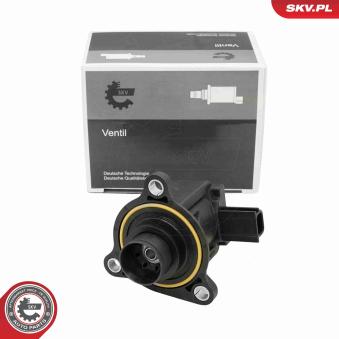 Valve d'air de circulation, compresseur ESEN SKV