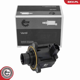 Valve d'air de circulation, compresseur ESEN SKV