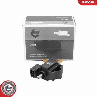 Détendeur de suralimentation ESEN SKV