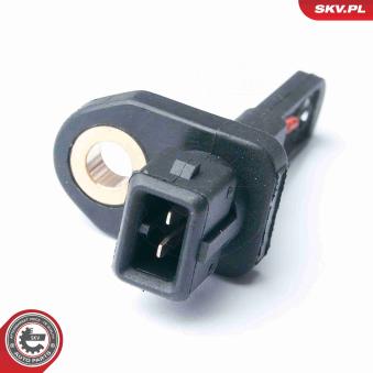 Capteur, température de l'air d'admission ESEN SKV