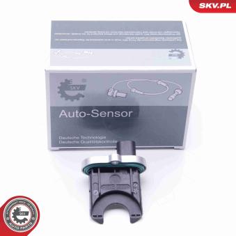 Détecteur de l'angle de braquage ESEN SKV