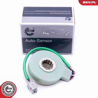 Détecteur de l'angle de braquage ESEN SKV