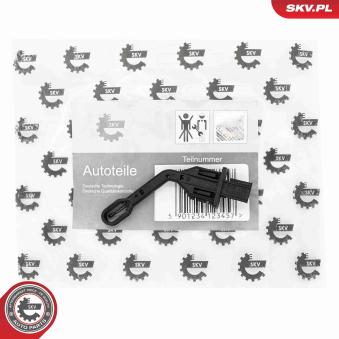 Capteur, température intérieur ESEN SKV