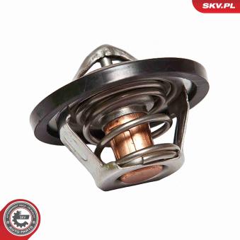 Thermostat d'eau ESEN SKV