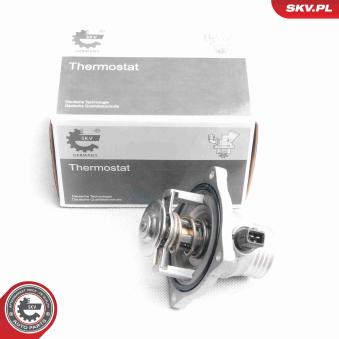 Thermostat d'eau ESEN SKV