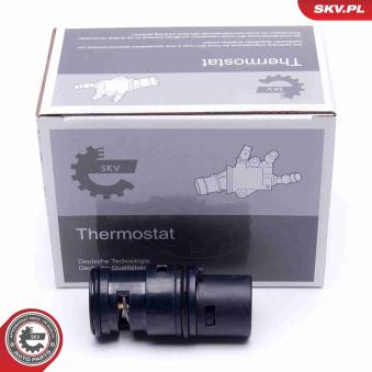 Thermostat d'eau ESEN SKV