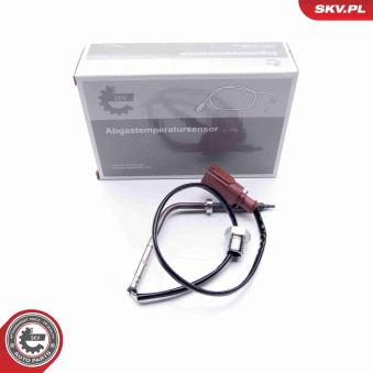 Capteur, température des gaz ESEN SKV