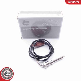 Capteur, température des gaz ESEN SKV