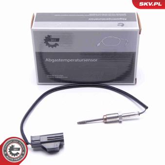 Capteur, température des gaz ESEN SKV