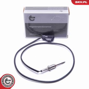 Capteur, température des gaz ESEN SKV