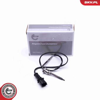 Capteur, température des gaz ESEN SKV