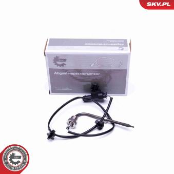 Capteur, température des gaz ESEN SKV