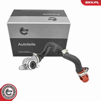 Vanne de regulation chauffage ESEN SKV 31SKV094