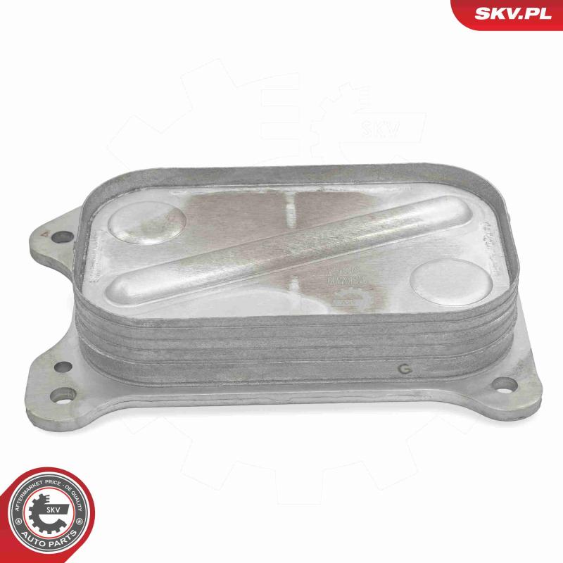 Radiateur d'huile ESEN SKV 31SKV309 - Visuel 2
