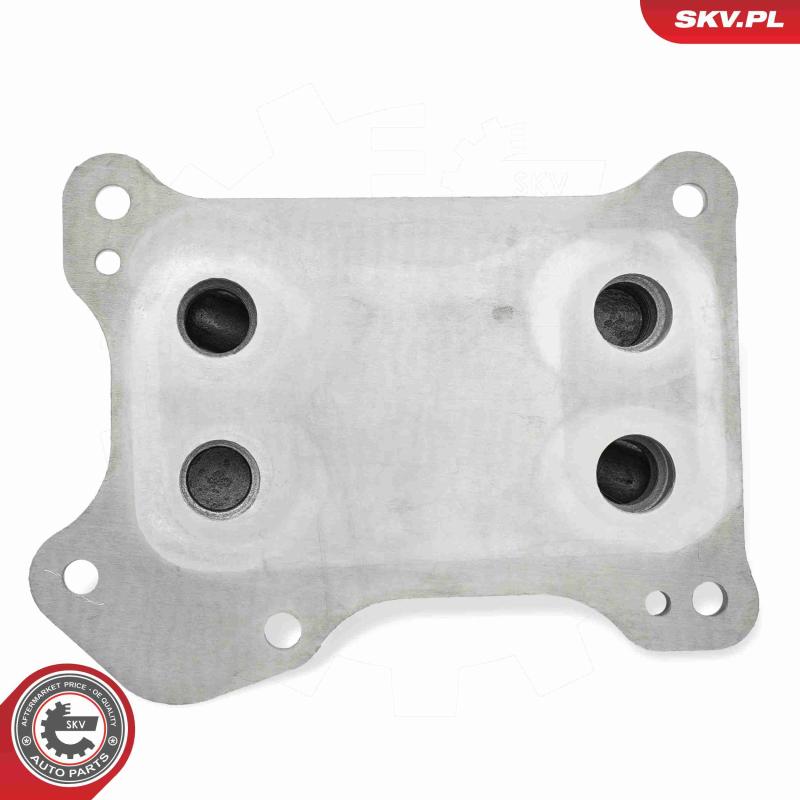 Radiateur d'huile ESEN SKV 31SKV309 - Visuel 3