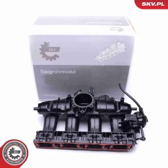 Module de tube d'admission ESEN SKV