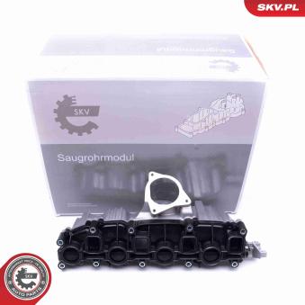 Module de tube d'admission ESEN SKV