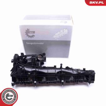 Module de tube d'admission ESEN SKV